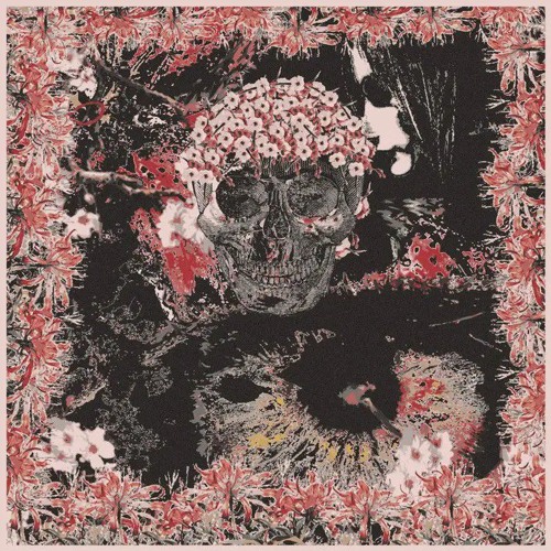 Free$ummerNightConcert$ II