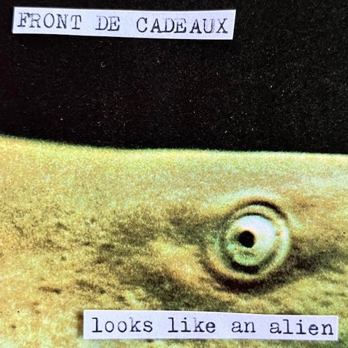 SR06 - Looks Like An Alien (81 BPM)