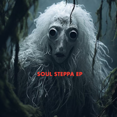 VOIDENT_Soul Steppa