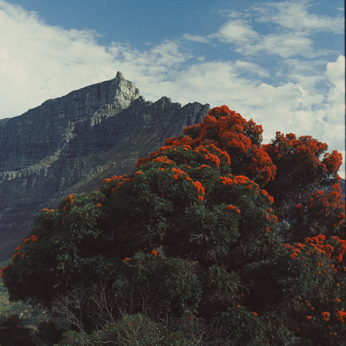 THE MOON IS A VISUAL ECHO – Rennbahn Opening // 230324