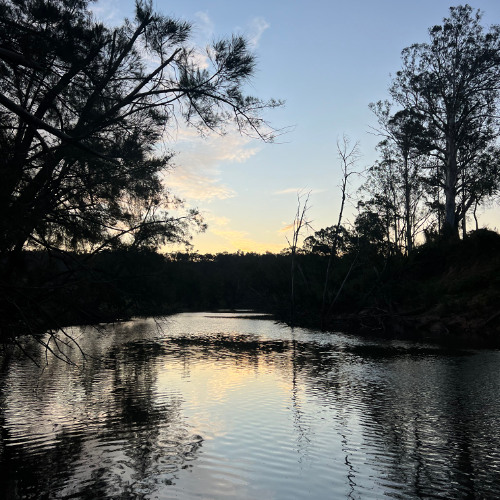 shoulda shoulda shoulda