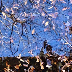 Dreams (feat. 440morningstar)