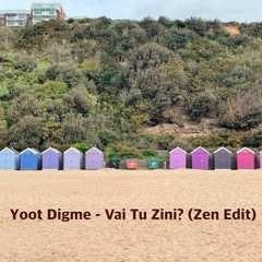 Yoot Digme - Vai Tu Zini (Zen Edit)