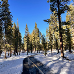 MountainTapes: South Lake Tahoe - Tahoe Beach and Ski Recorded in the Suite - 1/9/25