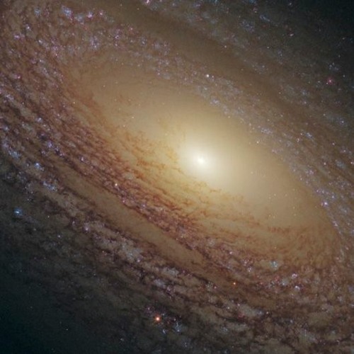 تلاوة سورة الفلق للشيخ حسن صالح