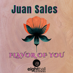 Juan Sales - Flavor Of You  (Radio Edit)