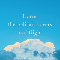 Pelican Icarus (naviarhaiku462)