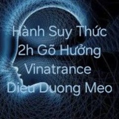 HÀNH SUY THỨC -  2H Fulll VINATRANCE ( 02_07_2025 ) - ĐIỀU DƯỠNG MÈO MIX.mp3