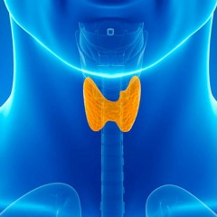 Autoimmune Thyroiditis Management | Recover Thyroid Functions & Boost Thyroid Hormone Production