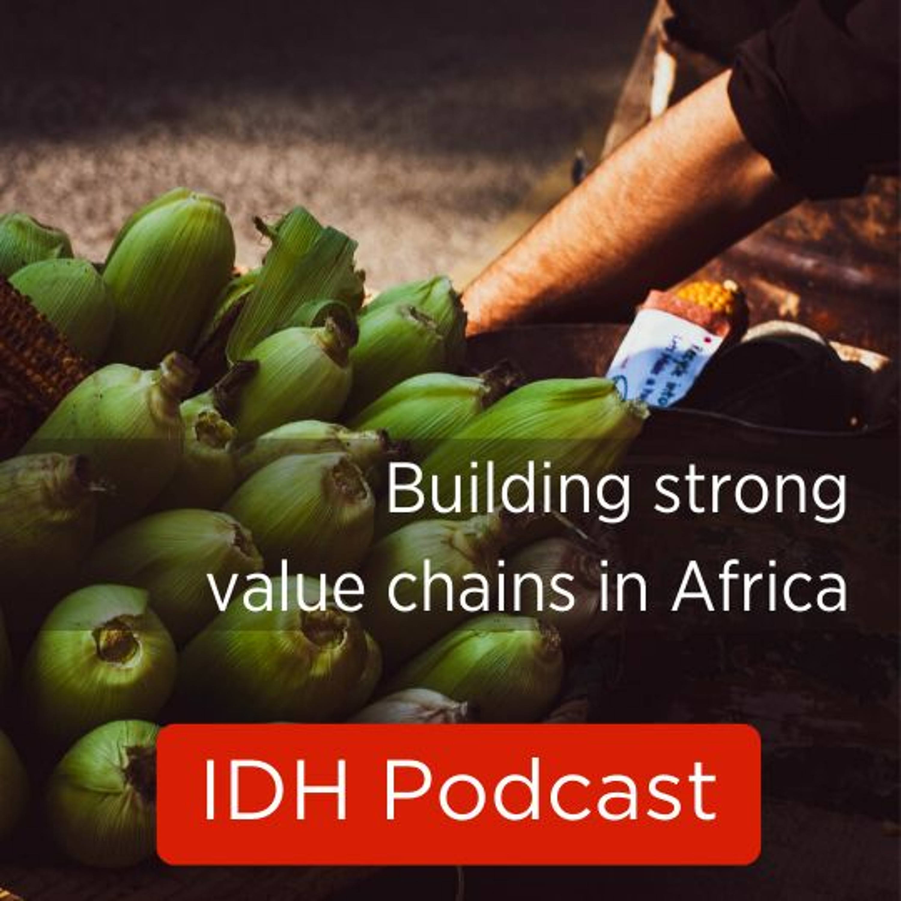 IDH Podcasts