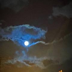 hard beet.wav prod.@xsk8tee