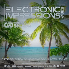 Electronic Impressions 828 with Danny Grunow