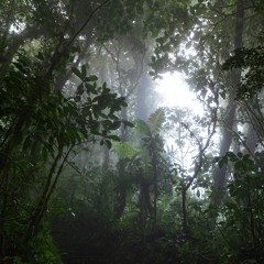 Enter (from new album "Undercurrents")