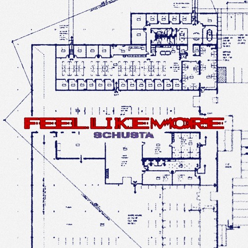 DLR Premiere: Schusta - Whole Devotion [Self-Release]