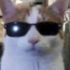 JOEKNOWS - MALIBUBU BABY