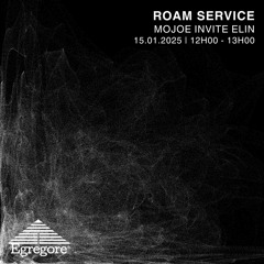 Mojoe invite Elin - Roam Service (Janvier 2025)