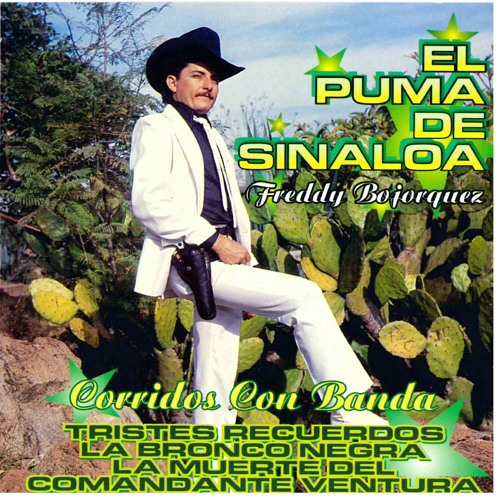 Stream El Puma De Sinaloa | Listen to Corridos Con Banda playlist online  for free on SoundCloud