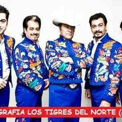 Los Tigres Del Norte Discografia Completa Utorrent [PATCHED]