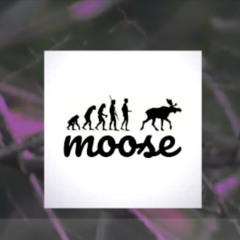 moose - trekkin