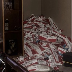 Doodlebob 190 (vince).mp3