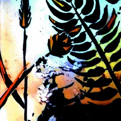 Unnamed01