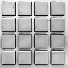 Marconi_88_Bpm