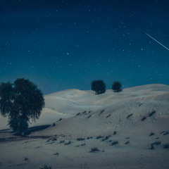 Sand Dunes