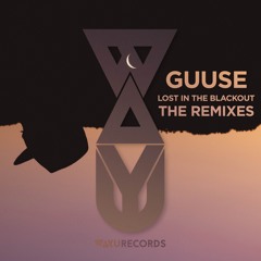 Guuse - Blackout (Adrian Schneider Remix)