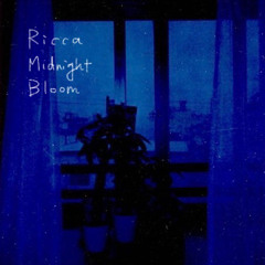 Midnight Bloom