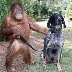 off the phone - 6:8:17, 8.41 PM