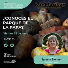 MINKARIKUY: Entrevista a TAMMY STENNER
