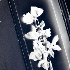 Pnuemonia