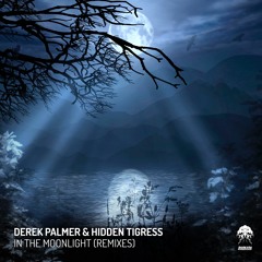 Derek Palmer & Hidden Tigress - In The Moonlight (Alan Santy Remix) - Preview