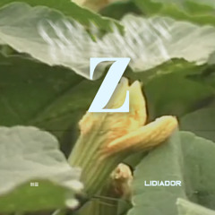 Z 145BPM