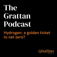 Hydrogen: a golden ticket to net zero?