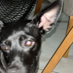 Não to nem aí ft.@akaBiazinha (speed)