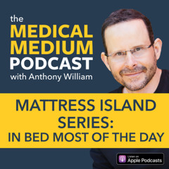 088 Mattress Island Series: In Bed Most Of The Day