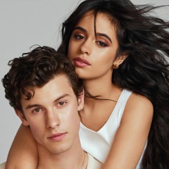 Shawn Mendes feat. Camila Cabello - Señorita  (DJ Exitoso Remix)