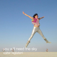 you will need the sky