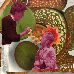 CF Premiere: Mesh Convergence — Rose Conversations [Subsist Records]