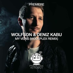 PREMIERE: Wolfson & Deniz Kabu - My Veins (Modeplex Remix) [Somatic]