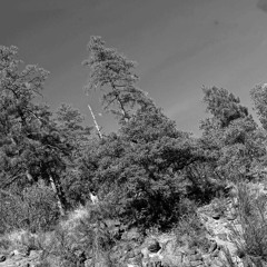 COLD NOVEMBER (deleted)