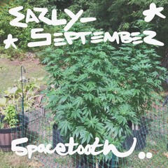 Early September