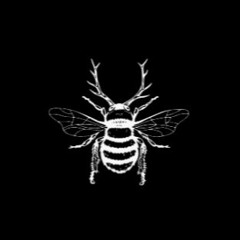 Vinilos: cheo @ honeycomb (10-94-2025)