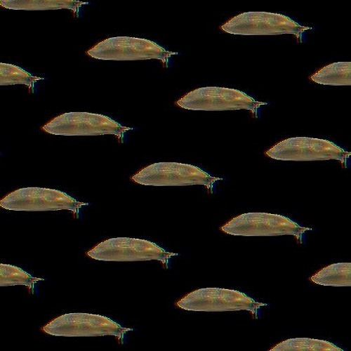 Slug Walk