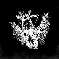 25 - Amalgam