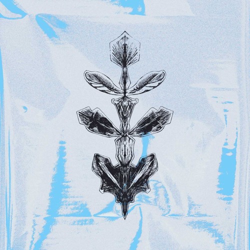 Indefinite Pitch PREMIERES. Luta - Pheev [Heel]