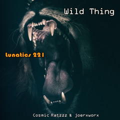 lunatics 221 / Wild Thing ! Ratzzz & joerxworx