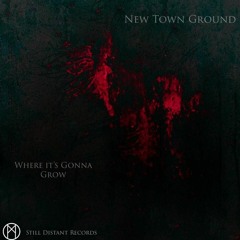 New Town Ground - Where It's Gonna Grow