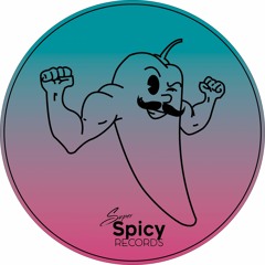 Super Spicy Recipe Vol. 2**12" Vinyl Exclusive**Preview**[SSPCYW002]